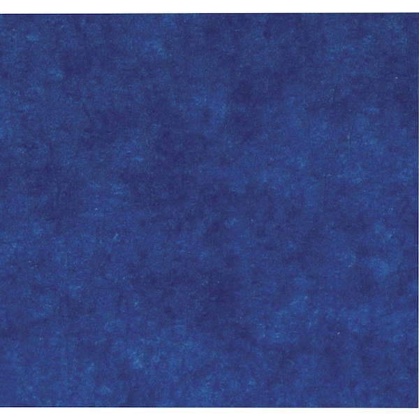 Cinta para pintor de la marca Duck, 47/50 pulgadas de ancho por 60 pies de largo, paquete de 9 rollos, color azul - DUC242751