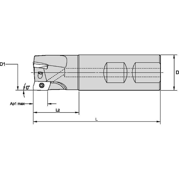 Widia Indexable Profiling End Mill, VSM17 Series, High Speed Steel, 0.6410 in Depth of Cut - VSM17D125Z02W125XD17