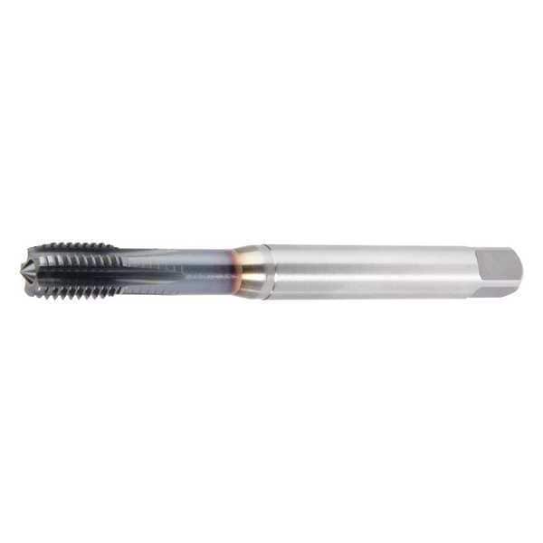 Widia Straight Flute Hand Tap, M10-1.00, Plug, 5 Flutes, Metric Coarse - GT065007