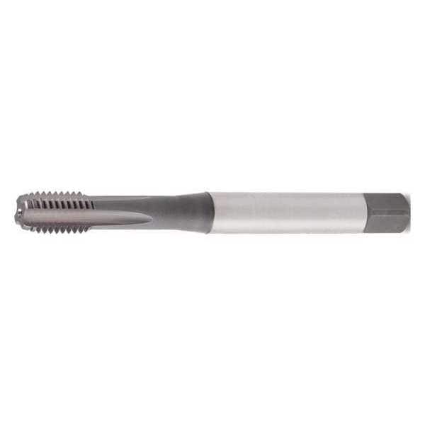 Widia Straight Flute Hand Tap Bottoming, 4 Flutes - GT435007