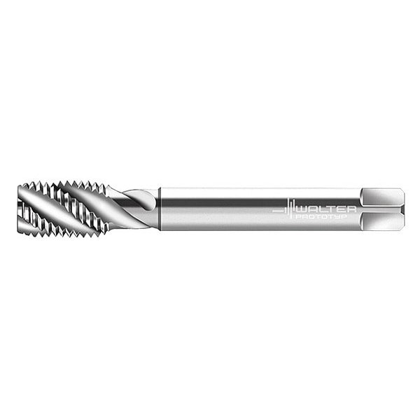 Walter Pipe Tap, 1/4"-19, Plug, 4 Flutes, G - P24569-G1/4
