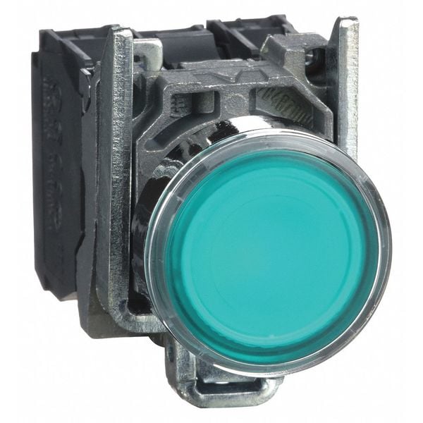 Botón pulsador iluminado Schneider Electric, 22mm, Verde - XB4BW33G5