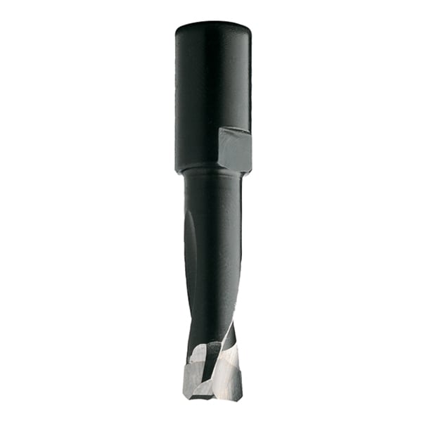 Cmt Router Bit For Domino Xl Joining, 12, Rght - 380.121.11