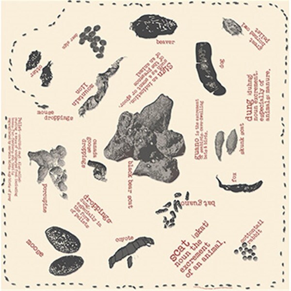 Perfectpitch 22 x 22 in. Scat Image Bandana 22in. x 22in. - PE3577598