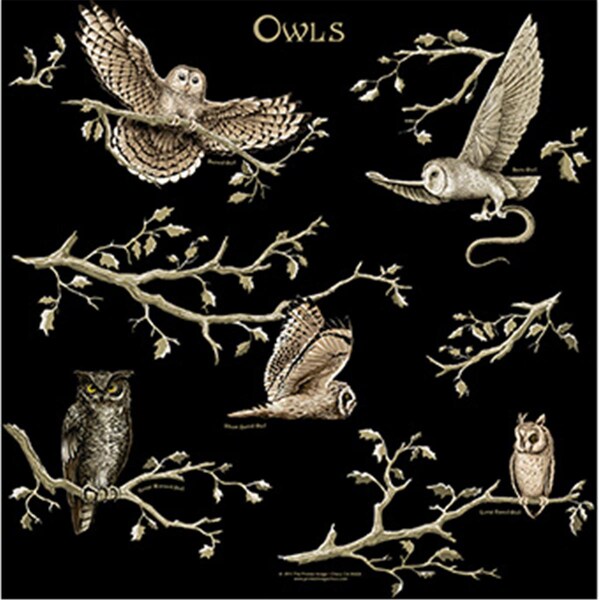 The Printed Image 22 x 22 in. Owls Image Bandana - 104122