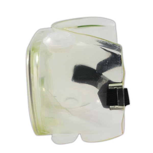 Oberon Safety Goggles, Antifog Coating, Clear Lens, Standard, 1 PR - 7006-24