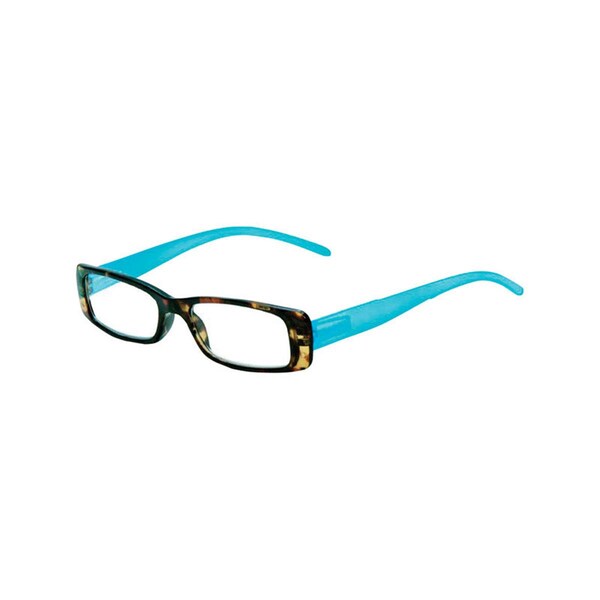 Envy 1.25 Diopter Assorted Reading Glasses- pack of 12 - 9422387