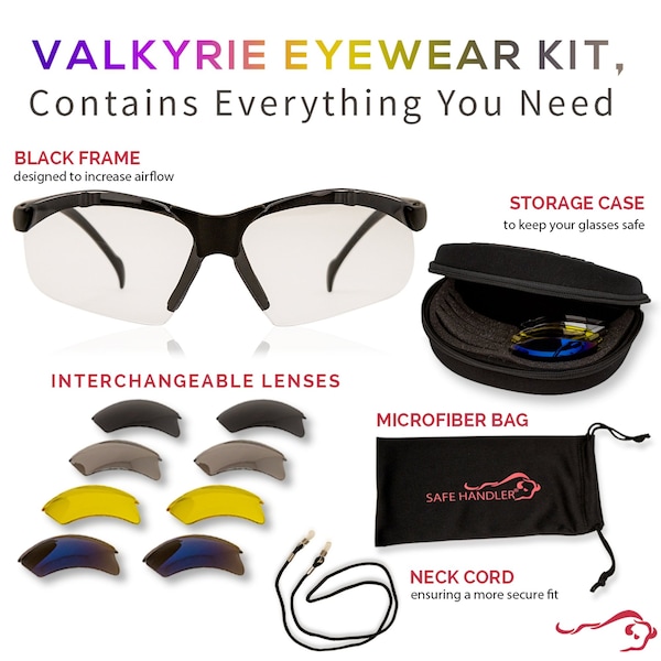 Bison Life Valkyrie Black Temple Interchangeable Safety Glasses Kit, ANSI Z87.1, UV Protection - SH-VKSG-CLBKT-MS17-5LSET