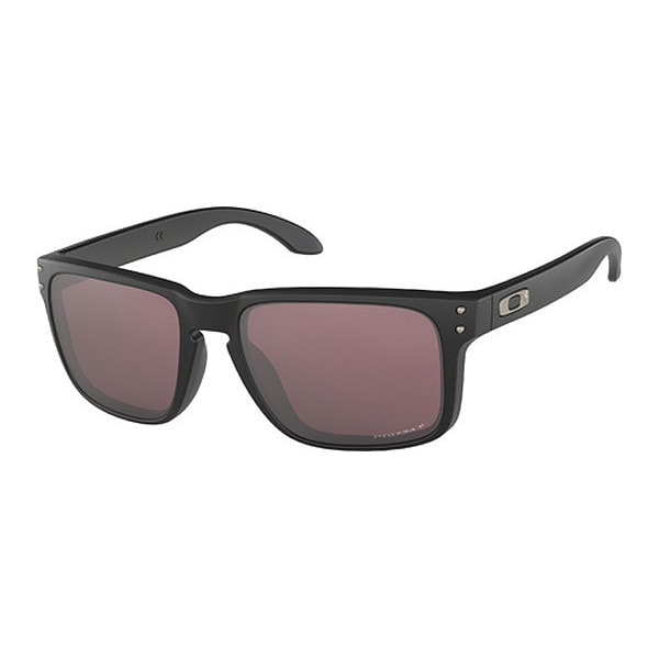 Oakley SI Holbrook Banded StnBLKw/PrizmDailyPol - OO9102-C255