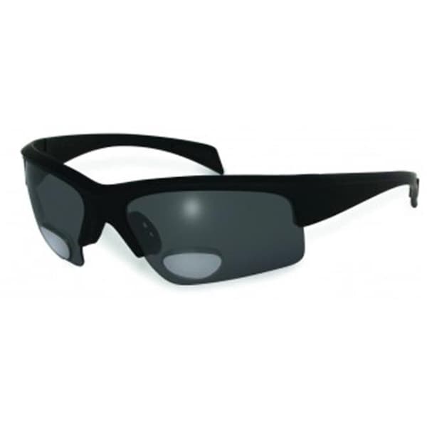 Bluwater Bluwater Polarized Bifocal Sunglasses With 2- 2.0 Gray Lens - PL BIFOCAL 2- 2.0 GR
