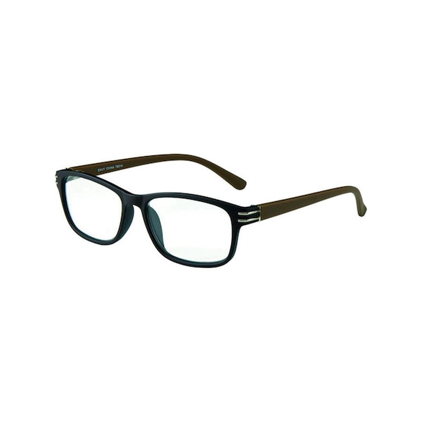 Envy 2.50 Diopter Assorted Reading Glasses- pack of 12 - 9422379