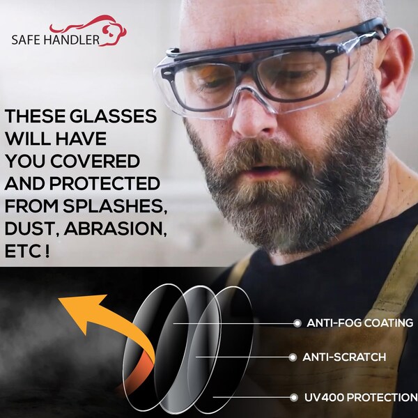 Bison Life Safe Handler, Clear Anti-Fog Lens, Polycarbonate - BLSH-MS-POSG-1CL-3P