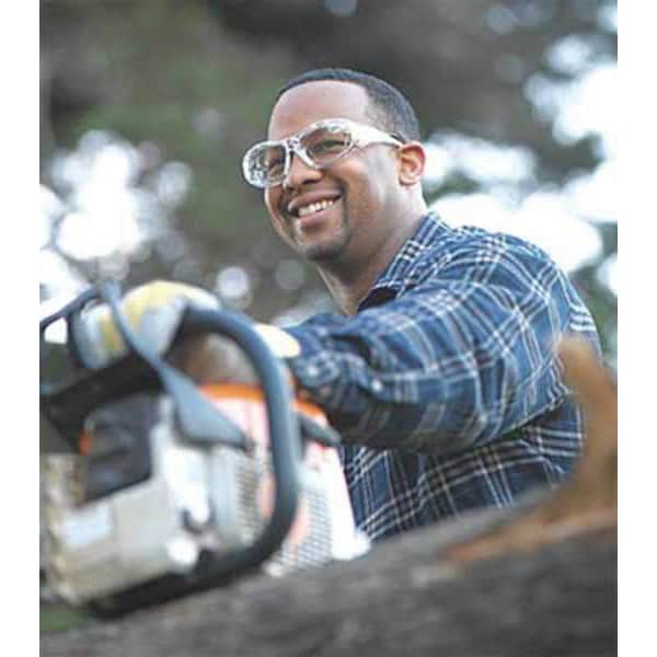 Guardian Guardian, Safety Glasses Scratch Resistant, Smoke Lens, Frameless, OTG - 29G88HS