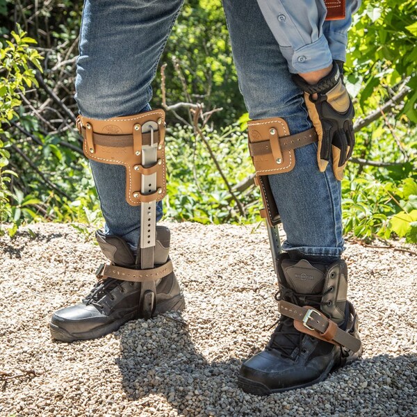 Klein Tools Tree Climber Set 2-3/4-Inch Gaffs, 15 to 19-Inch - CN1907AR