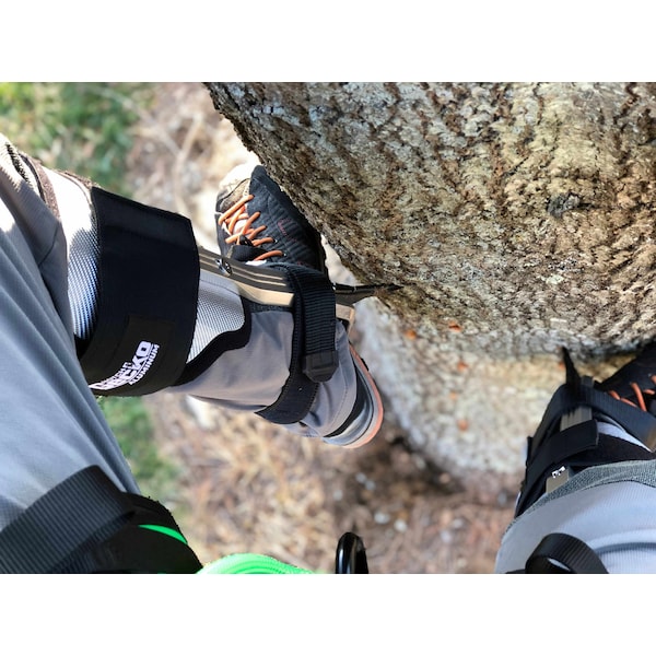 Notch Gecko Aluminum 2.0  Climbers w/ Tree Gaffs - 41320T