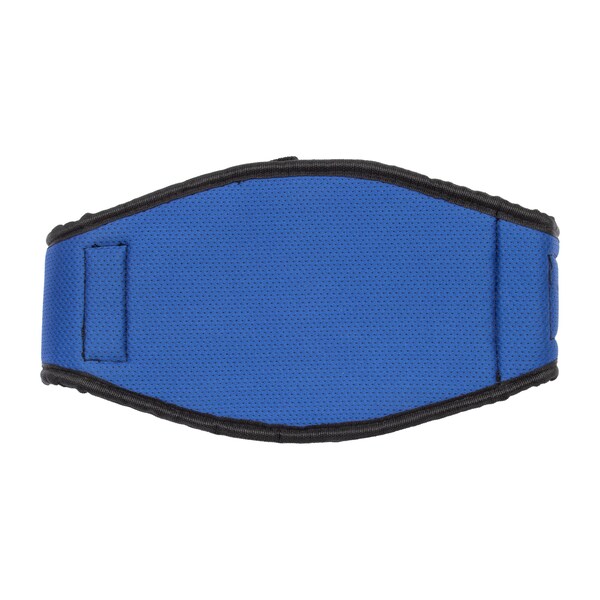 Walter Surface Technologies PARTS: WAISTBELT FOR AP PAPR SYSTEM - AP-WBT-01
