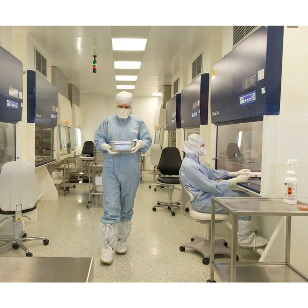 Ansell Sterile Cleanroom Gloves, 5 ISO Class, Polyisoprene, 11 1/2 in L, 8.6 mil, White, L, 200 PK - 83-500