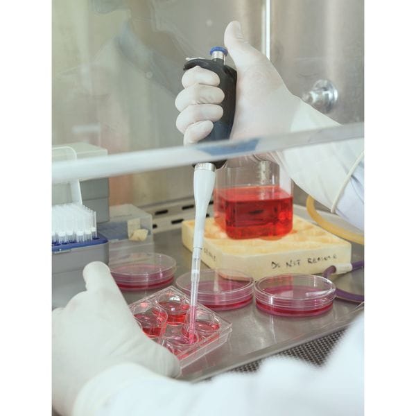 Ansell Sterile Cleanroom Gloves, 5 ISO Class, Polyisoprene, 11 1/2 in L, 8.6 mil, White, XS, 200 PK - 83-500