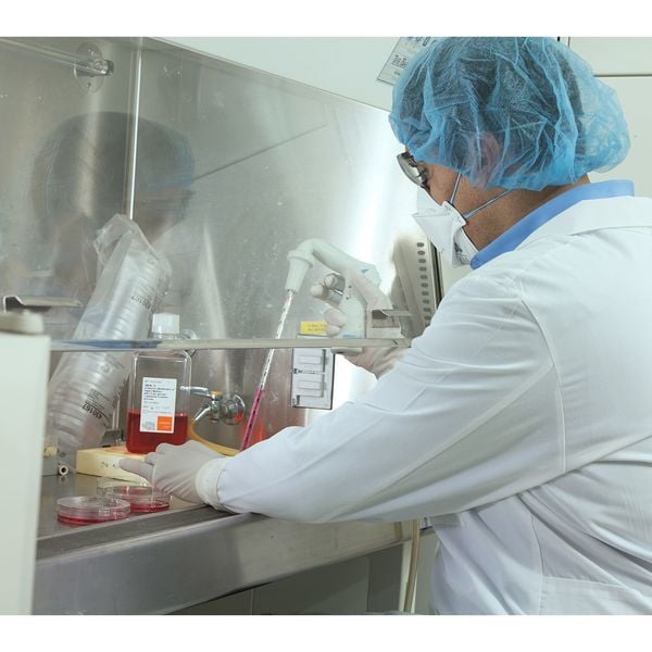 Ansell Sterile Cleanroom Gloves, 5 ISO Class, Polyisoprene, 11 1/2 in L, 8.6 mil, White, XS, 200 PK - 83-500