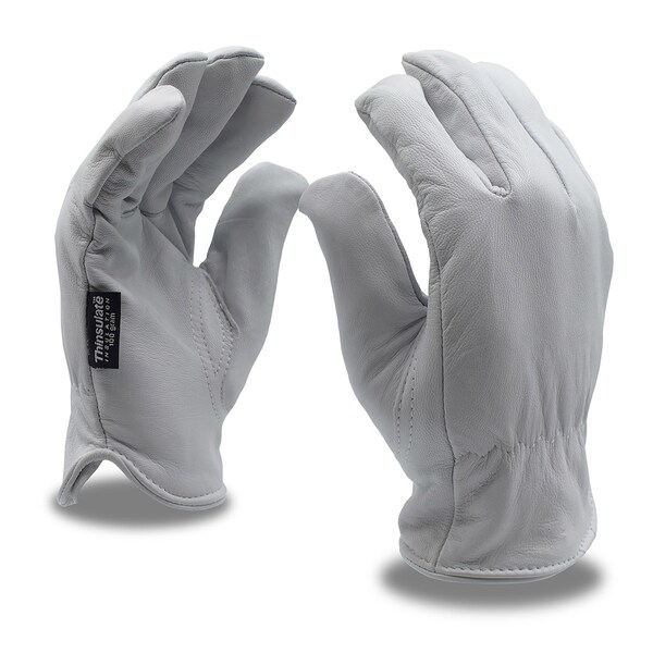 Cordova Driver, Goatskin, Premium, Grain, Lined Thinsulate Gloves, XXL, 12PK - 8550XXL
