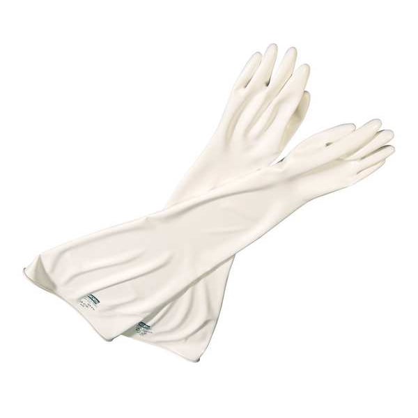 Honeywell Glove Box Gloves, CSM-Chlorosulfonated Polyethylene, 32 in L, 30 mil, White, 1 PR - 8Y3032A/10H