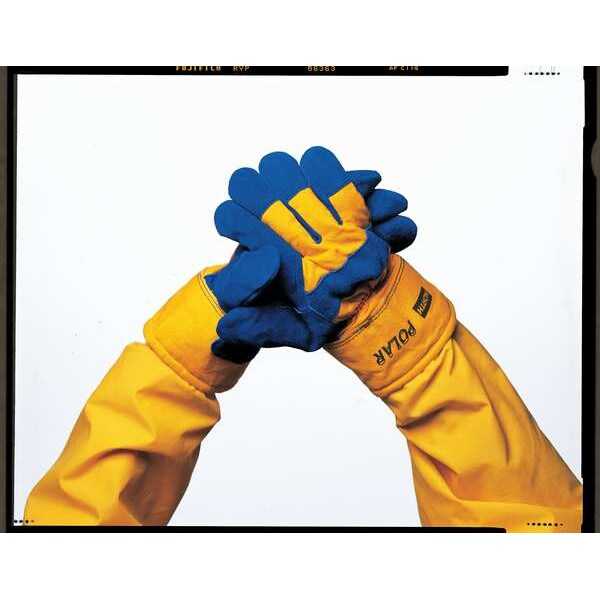 Honeywell Cold Protection Gloves, Cowhide Leather Palm, Thinsulate Lining, Blue, L - 70/6465NK