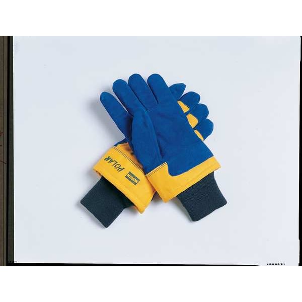 Honeywell Cold Protection Gloves, Cowhide Leather Palm, Thinsulate Lining, Blue, L - 70/6465NK