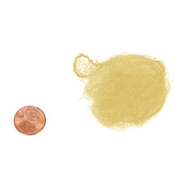 Popular Life Slim-Net Durable and Invisible Blonde Hair Nets(20-Pack) - BLPL-ES-IEDH-2BL-20