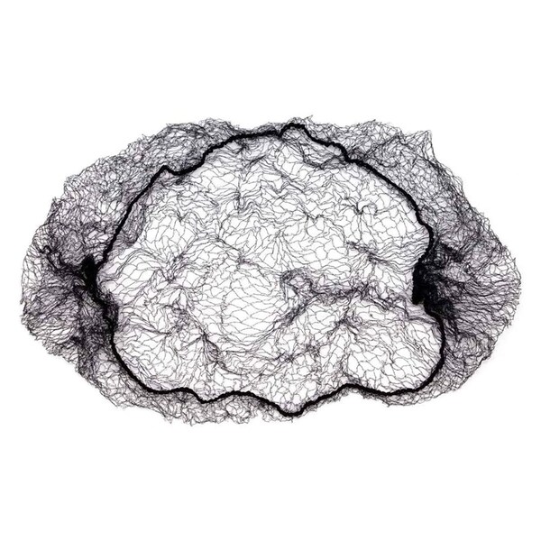 Popular Life Magic-Net Durable and Invisible Black Hair Nets, PK10 - BLPL-ES-DH-1BK-10