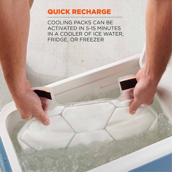 Ergodyne Premium FR Phase Change Cooling Vest with Rechargeable Ice Packs, S/M - 6215