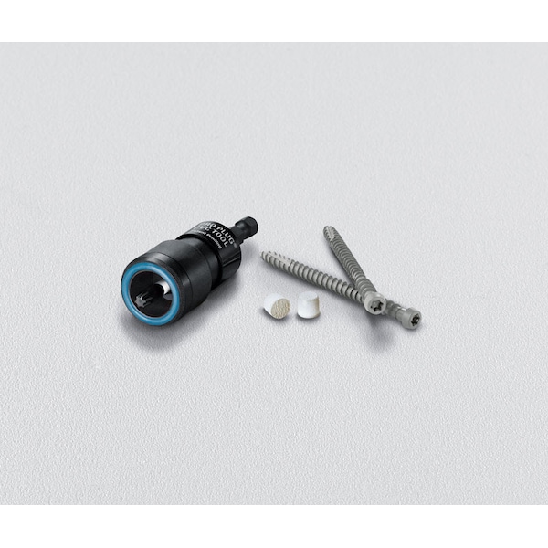 Starborn Starborn Pro Plug No. 10 X 2-3/4 in. L Star Trim Head Deck Screws and Plugs Kit 1 pk - PXTC408L275