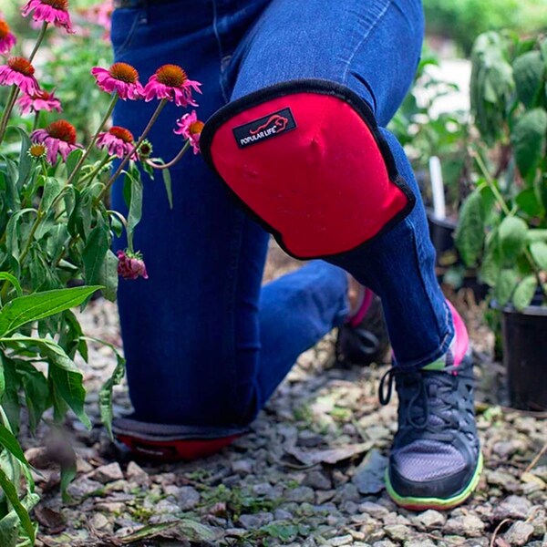 Popular Life Original Washable Home & Gardening Knee Pads, Red, PR - BLPL-ES-XPE-KP-12BKR