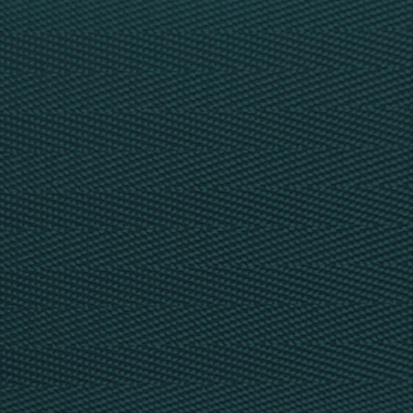 Queue Solutions QueuePro Twin 250, Polished Stainless Steel, 11' Dark Green belts - PROTWIN250PS-DGN110