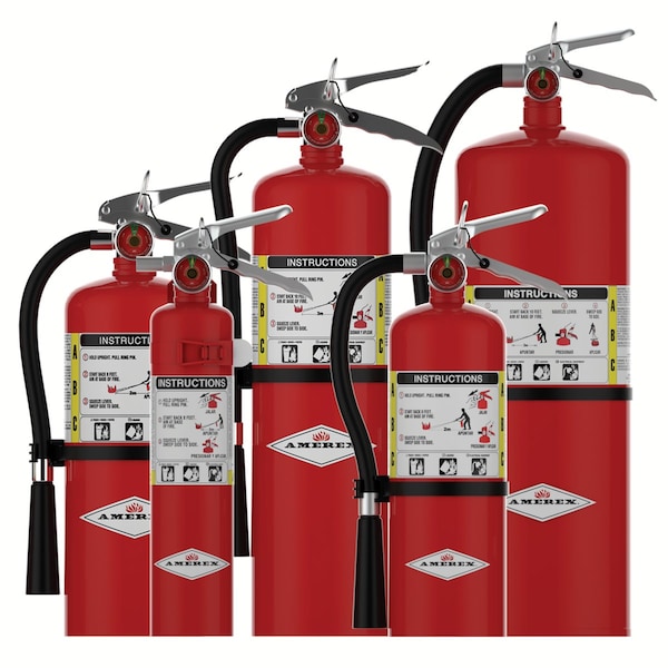 Amerex Fire Extinguisher, Class ABC, UL Rating 4A:80B:C, Rechargeable, 10 lb capacity, 21 ft Range - B456