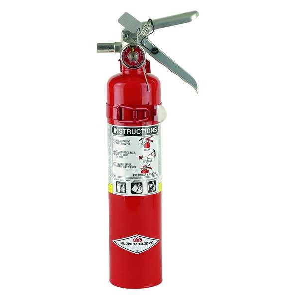 Amerex Fire Extinguisher, Class ABC, UL Rating 1A:10B:C, 195 psi, Rechargeable, 2.5 lb capacity - B417T