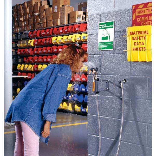 Guardian Equipment Dual Head Drench Hose, Wall Mount, 8 ft. - G5026