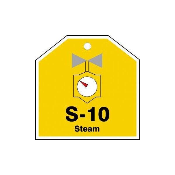 Accuform Energy Source ID Tag, S-10 STEAM, 2.5in x 2.5in, Plastic, 5PK - TDJ110VPM