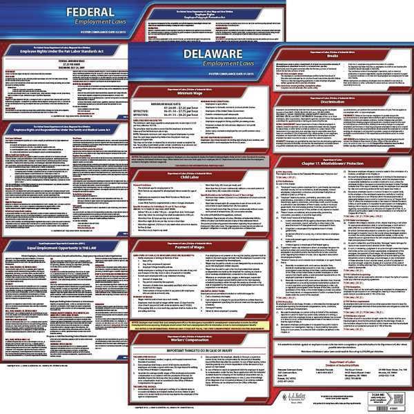 Jj Keller LaborLaw Poster, Fed/STA, DE, ENG, 20inH, 1yr - 100-DE-1