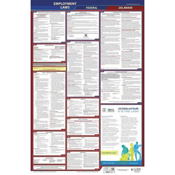 Jj Keller LaborLaw Poster, Fed/STA, DE, ENG, 26inH, 1yr - 300-DE-1