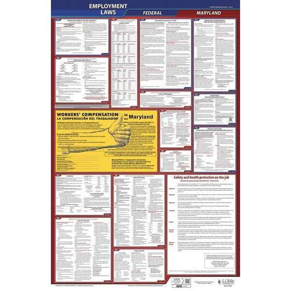 Jj Keller LaborLaw Poster, Fed/STA, MD, ENG, 40Wx26inH - 300-MD