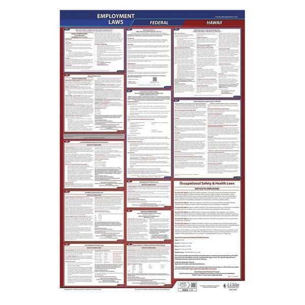 Jj Keller LaborLaw Poster, Fed/STA, HI, ENG, 26inH, 3yr - 300-HI-3