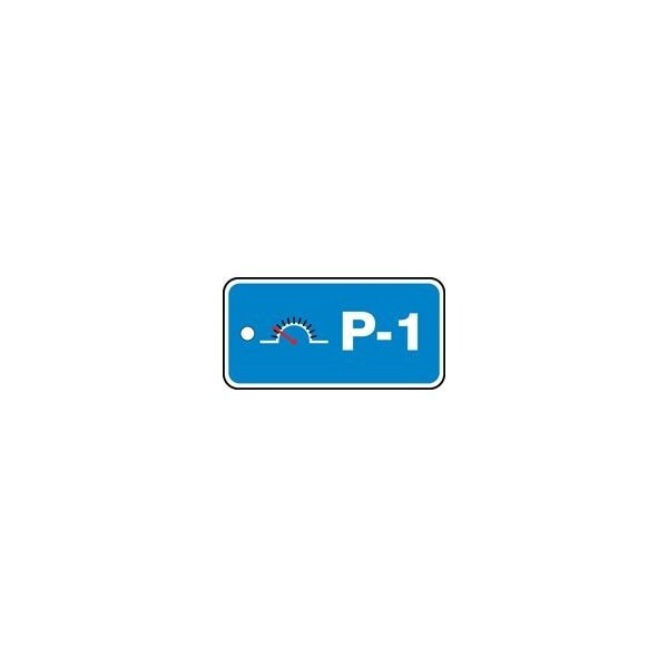 Accuform Energy Source ID Tag, P-1, 1.5inx3in, Adhesive Dura-Poly, 5PK - TDF701XVM