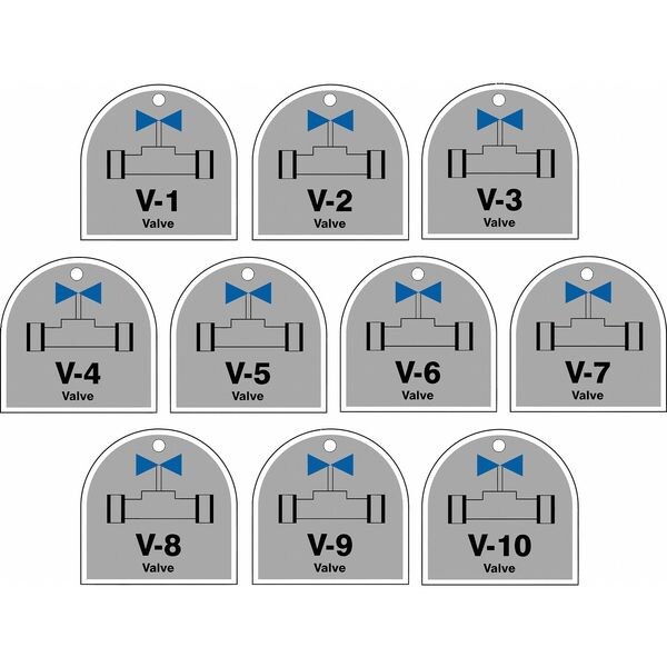 Accuform Energy Source ID Tag, No Header, Plastic, 2-1/2" Width, 2-1/2" Height, Write On Surface: No , 10 PK - TDJ220VPR