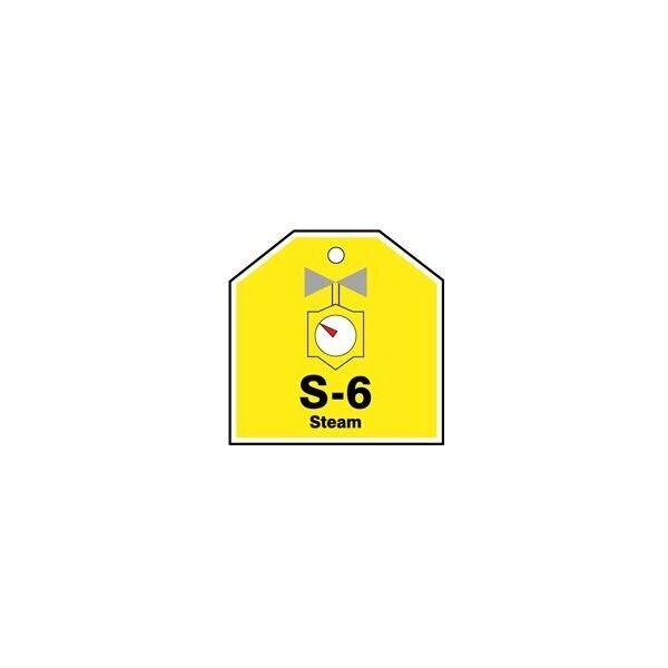 Accuform Energy Source ID Tag, S-6 STEAM, 2.5in x 2.5in, Plastic, 5PK - TDJ106VPM