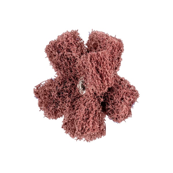 Pferd 2" POLINOX Cross Buffs, 8-32 Thd. - 2 Layers, Aluminum Oxide - Coarse Grade - 44212