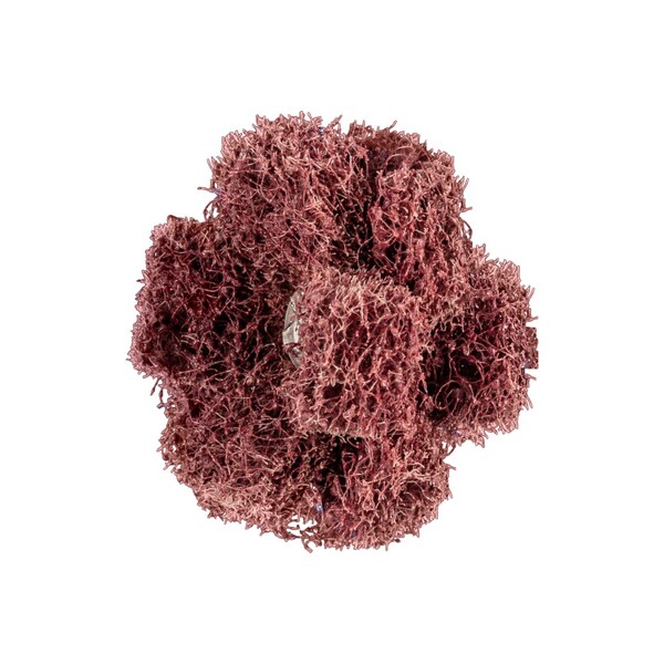 Pferd 1-1/2" POLINOX Cross Buffs, 8-32 Thd. - 3 Layers, Aluminum Oxide - Coarse Grade - 44210