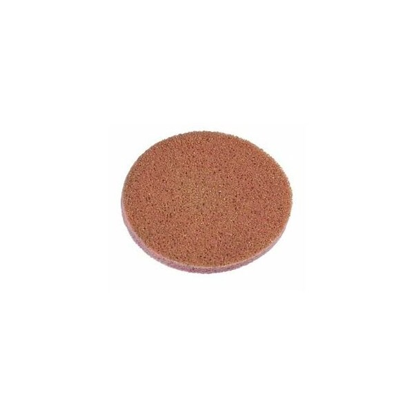 Garant CeraFin Diamond Polishing Disc, 22 mm Diameter, 5 Pc, Grit: D64 - 553980 D64