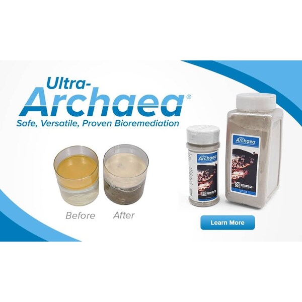 Ultratech Ultra-Archaea Tablets, 20-Billion Clay, 24 Per Tube, 12PK - 5252