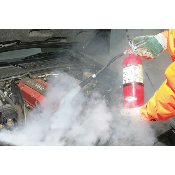 Amerex Fire Extinguisher, 5 lb Capacity, Class ABC , UL Rating2A:10B:C , Monoammonium Phosphate - B500T