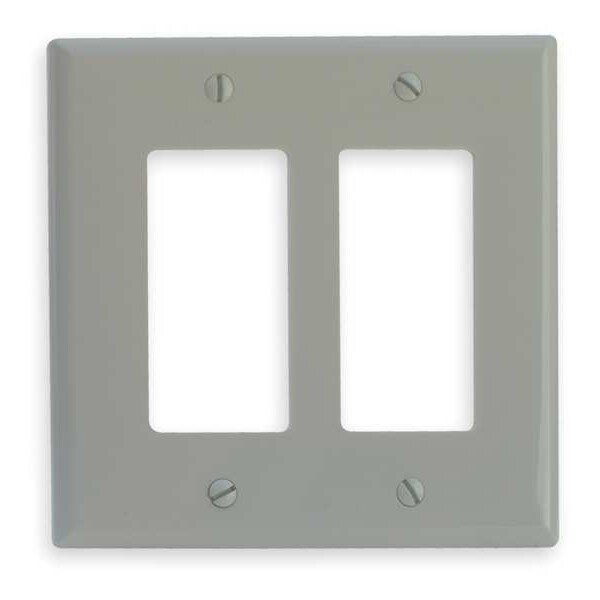 Edwards Signaling Double Gang Faceplate, H 5 x W 5 In - FSAT2